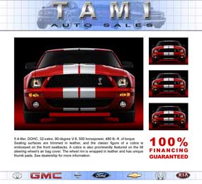 Tami Auto Sales